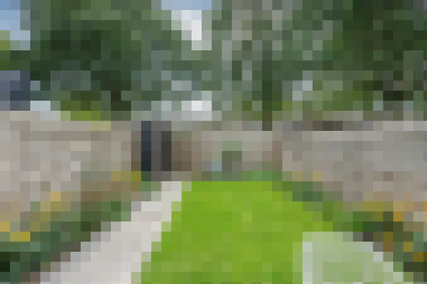 Rietmees 85 Emmen thumbnail 25
