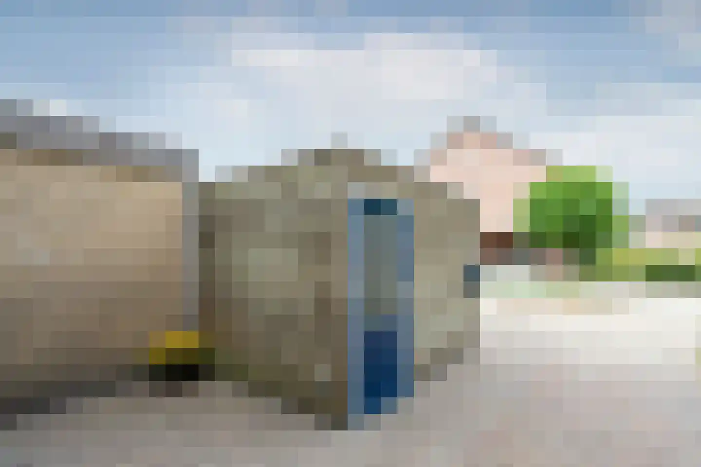 Rietmees 85 Emmen thumbnail 32
