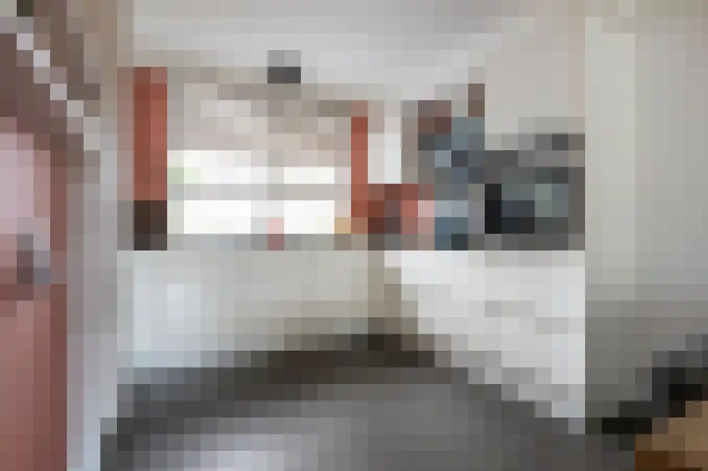 Rietmees 85 Emmen thumbnail 4
