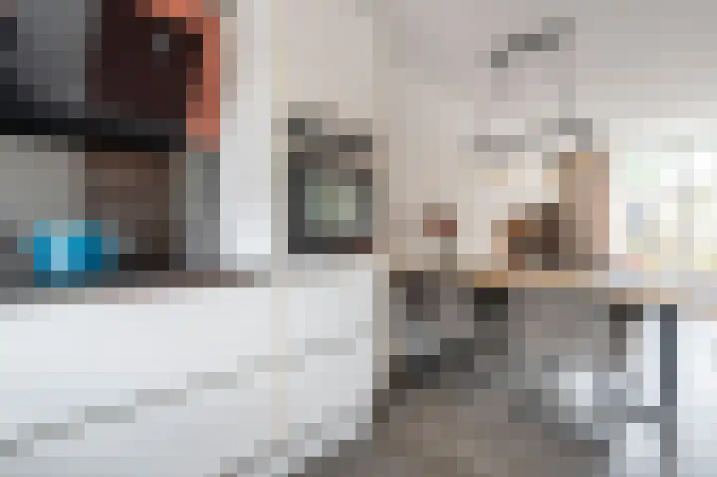 Rietmees 85 Emmen thumbnail 6