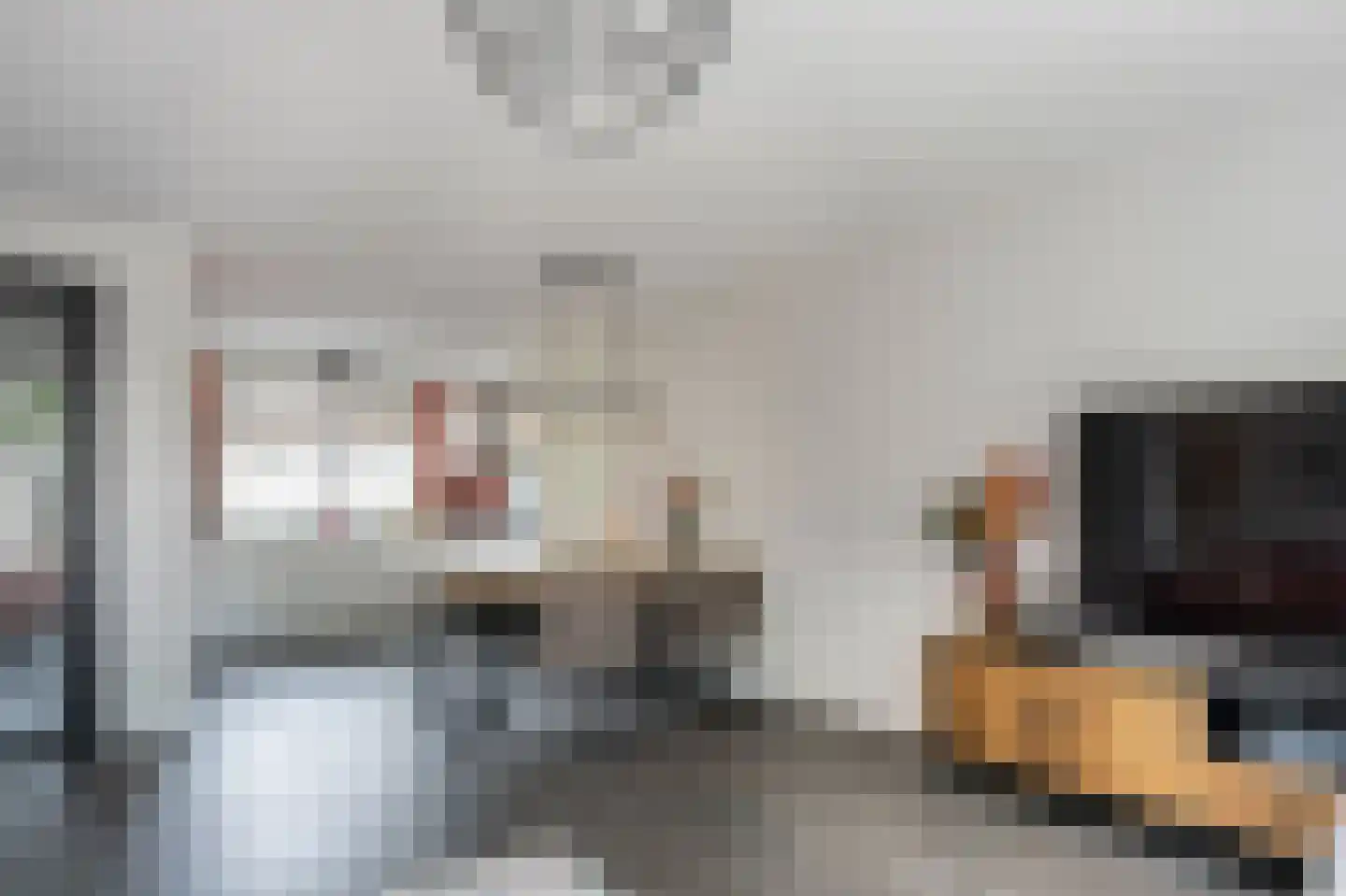 Rietmees 85 Emmen thumbnail 7