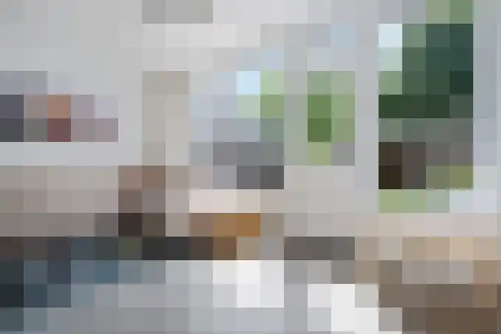 Rietmees 87 Emmen thumbnail 10