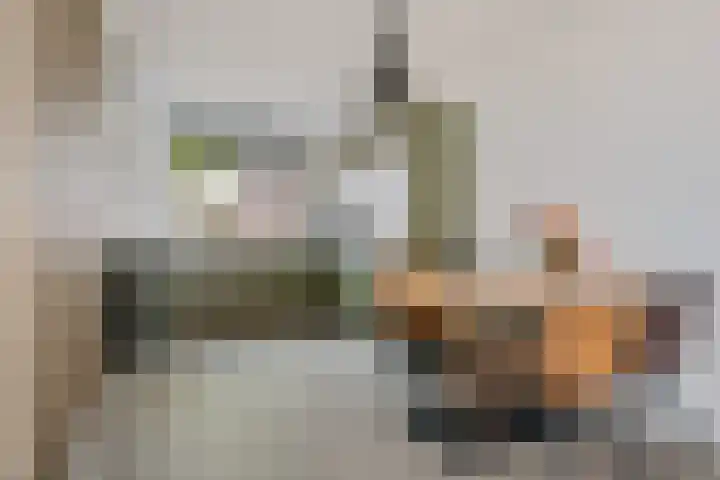 Rietmees 87 Emmen thumbnail 11