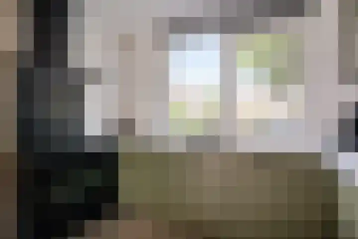 Rietmees 87 Emmen thumbnail 14