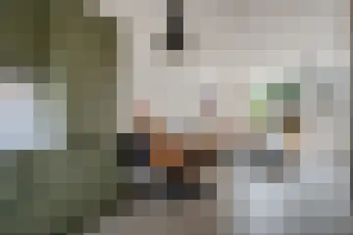 Rietmees 87 Emmen thumbnail 15