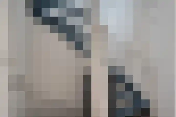Rietmees 87 Emmen thumbnail 19