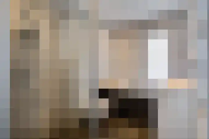 Rietmees 87 Emmen thumbnail 20