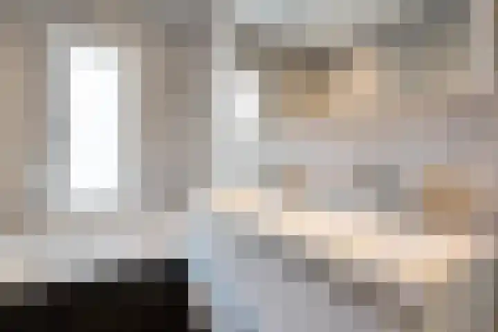 Rietmees 87 Emmen thumbnail 21