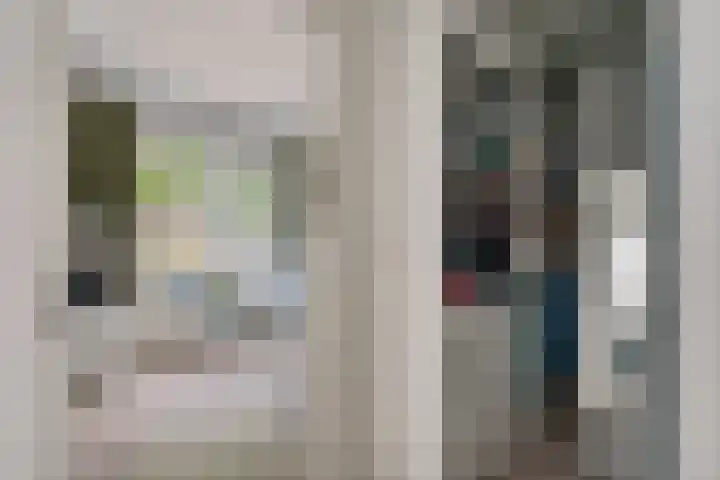Rietmees 87 Emmen thumbnail 23