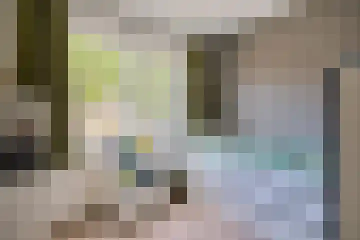 Rietmees 87 Emmen thumbnail 24