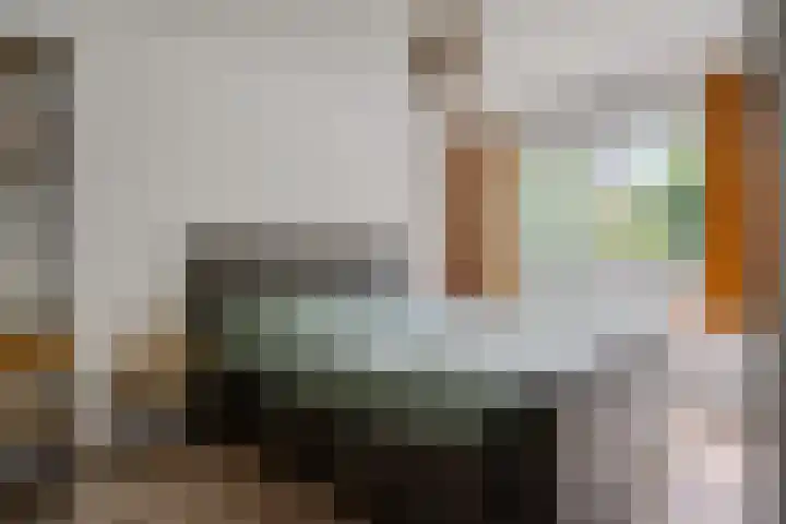Rietmees 87 Emmen thumbnail 26