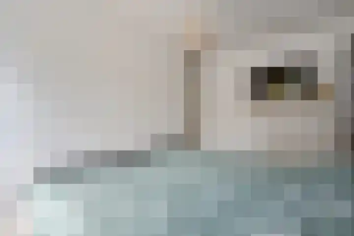 Rietmees 87 Emmen thumbnail 27