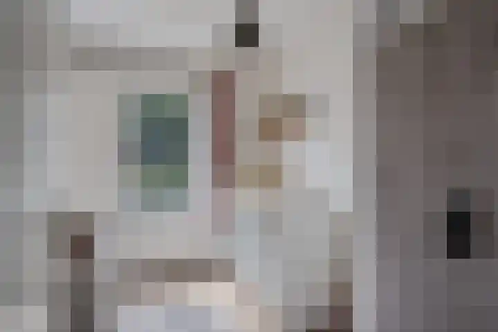 Rietmees 87 Emmen thumbnail 28