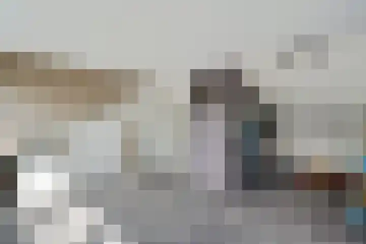 Rietmees 87 Emmen thumbnail 29