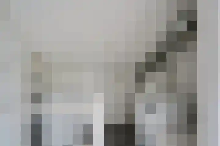 Rietmees 87 Emmen thumbnail 31