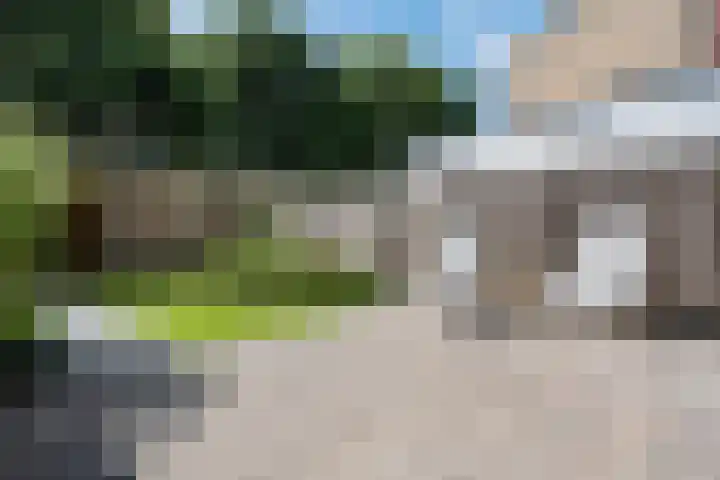Rietmees 87 Emmen thumbnail 33