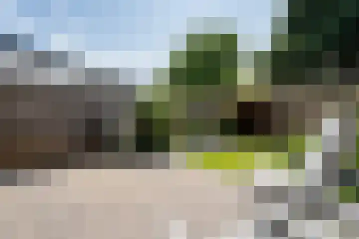 Rietmees 87 Emmen thumbnail 34