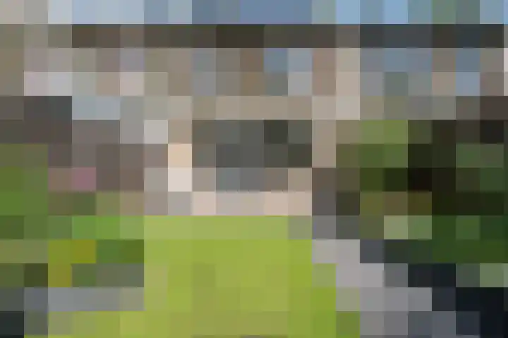Rietmees 87 Emmen thumbnail 35