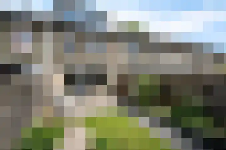 Rietmees 87 Emmen thumbnail 36
