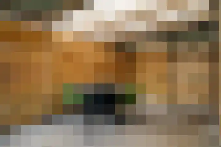 Rietmees 87 Emmen thumbnail 37