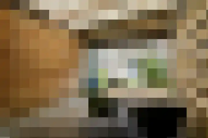 Rietmees 87 Emmen thumbnail 38