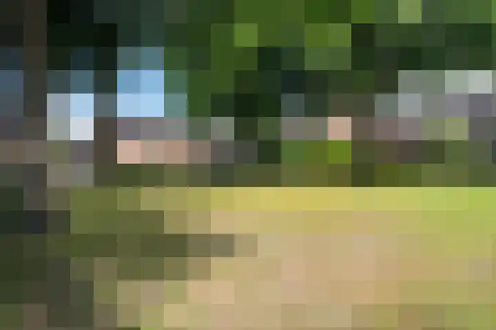 Rietmees 87 Emmen thumbnail 4