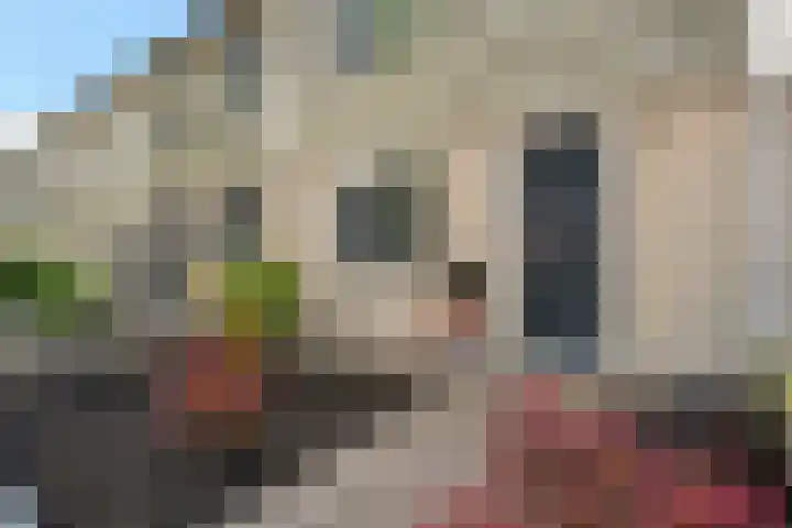 Rietmees 87 Emmen thumbnail 5