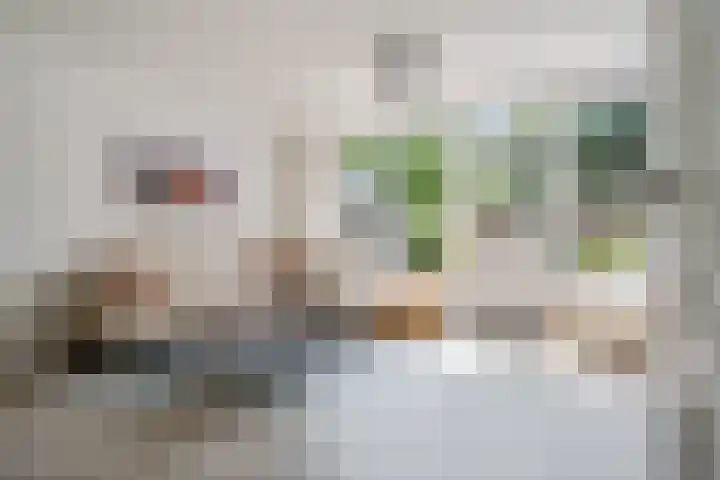 Rietmees 87 Emmen thumbnail 7