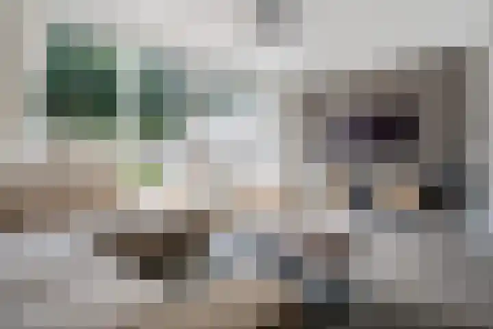 Rietmees 87 Emmen thumbnail 8