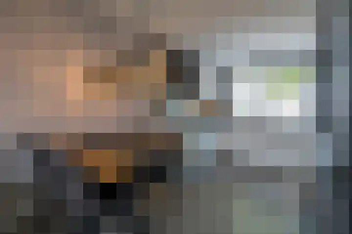 Rietmees 88 Emmen thumbnail 10