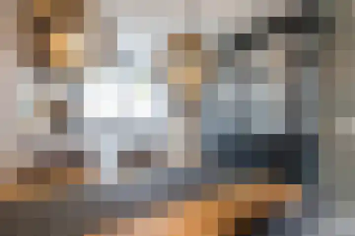 Rietmees 88 Emmen thumbnail 11