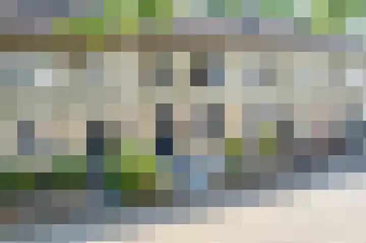 Rietmees 88 Emmen thumbnail 12