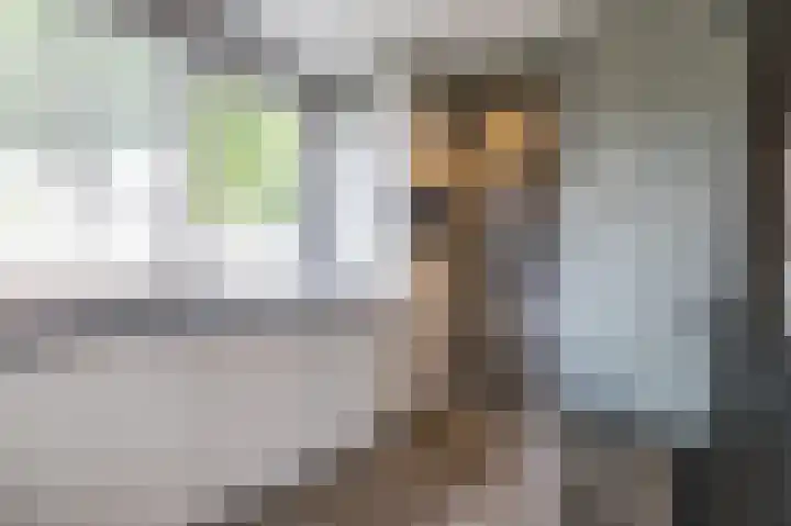 Rietmees 88 Emmen thumbnail 13
