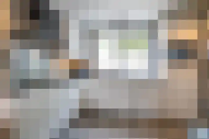 Rietmees 88 Emmen thumbnail 15