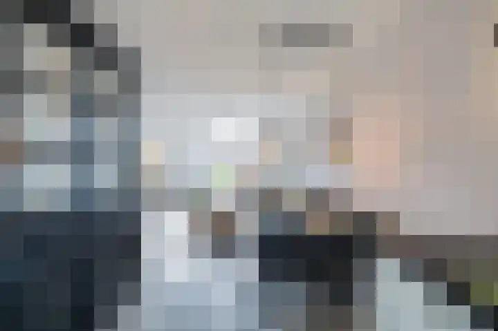 Rietmees 88 Emmen thumbnail 17