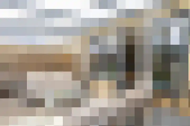 Rietmees 88 Emmen thumbnail 18