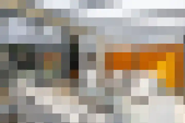 Rietmees 88 Emmen thumbnail 19
