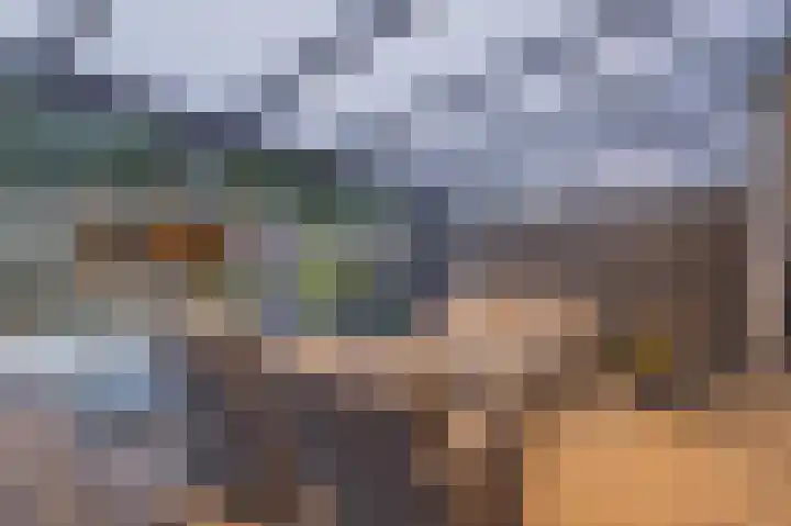 Rietmees 88 Emmen thumbnail 20