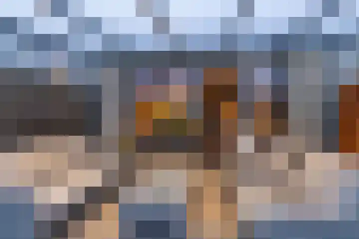 Rietmees 88 Emmen thumbnail 21