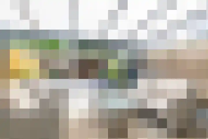 Rietmees 88 Emmen thumbnail 22