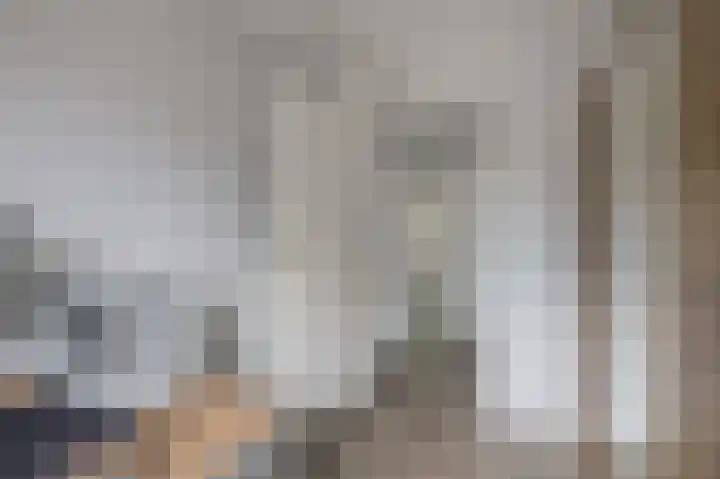 Rietmees 88 Emmen thumbnail 24