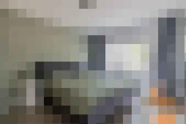 Rietmees 88 Emmen thumbnail 26