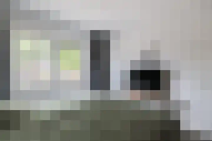 Rietmees 88 Emmen thumbnail 27