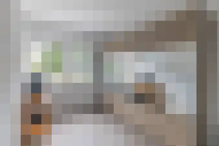 Rietmees 88 Emmen thumbnail 28