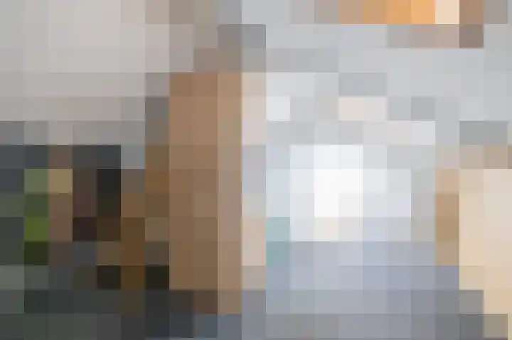 Rietmees 88 Emmen thumbnail 38