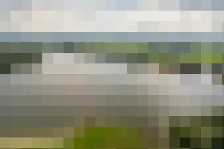 Rietmees 88 Emmen thumbnail 4