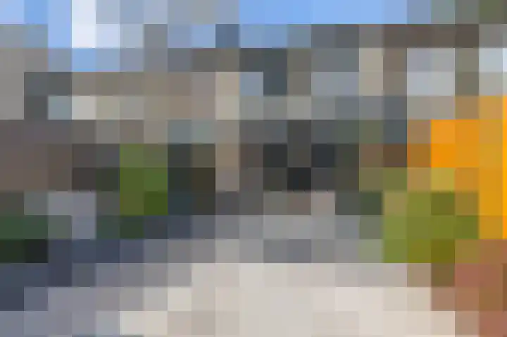 Rietmees 88 Emmen thumbnail 41