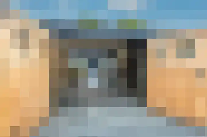Rietmees 88 Emmen thumbnail 42