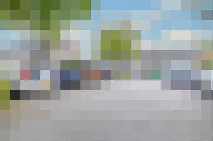 Rietmees 88 Emmen thumbnail 44