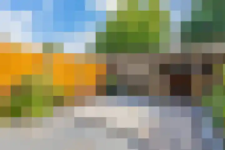 Rietmees 88 Emmen thumbnail 46